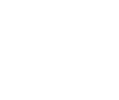 Icon plane 4