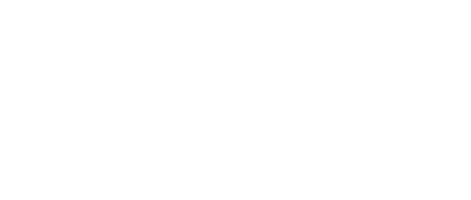 Icon plane 6